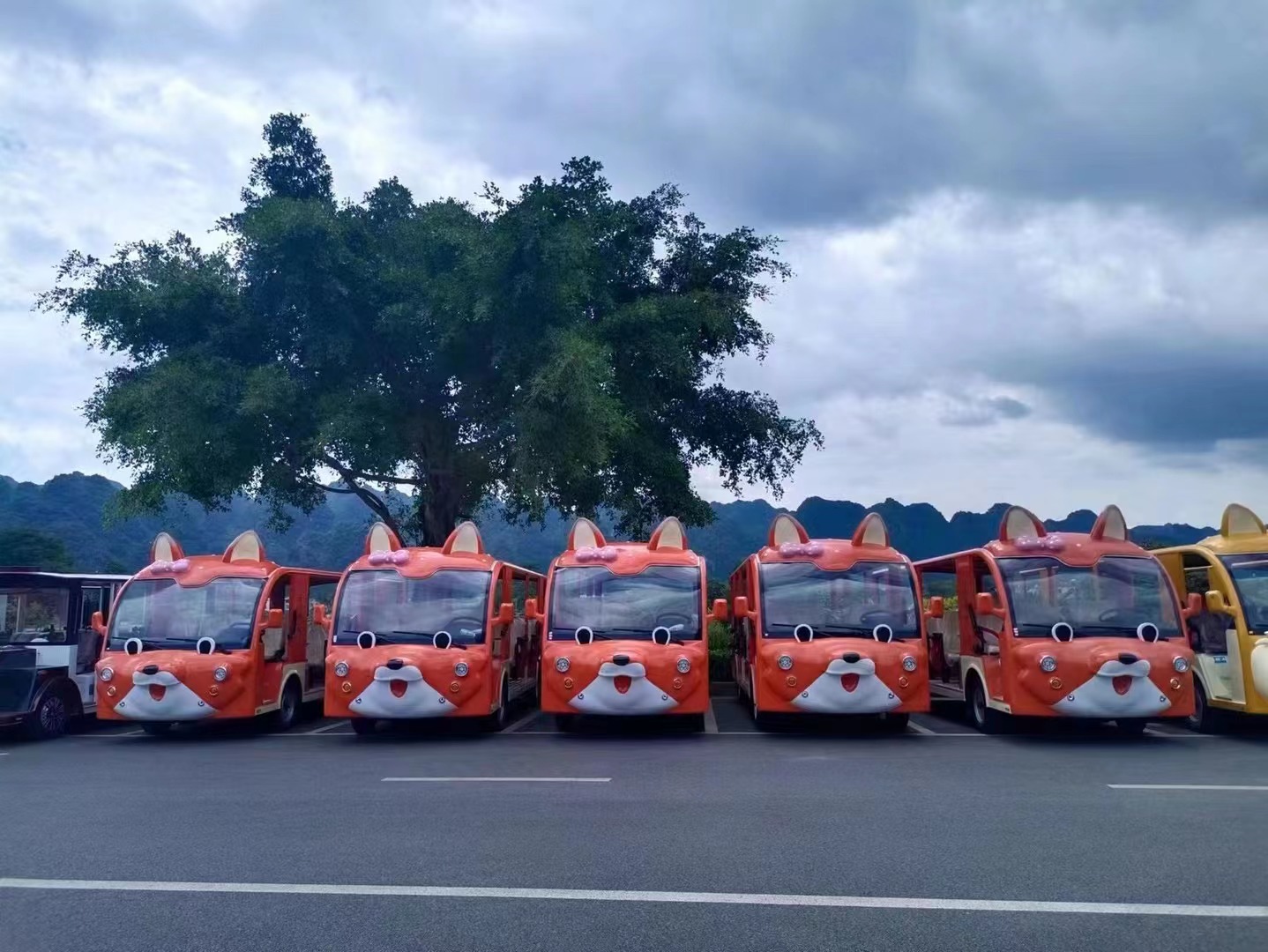 電動(dòng)觀(guān)光車(chē)在旅游產(chǎn)業(yè)中扮演著怎樣的角色？